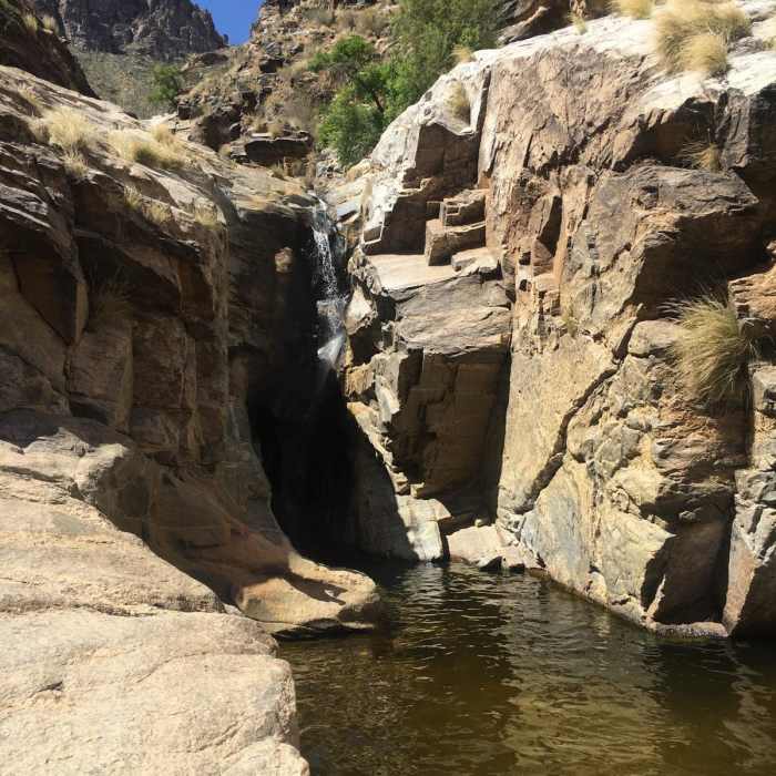 Near Sabino Canyon Loop