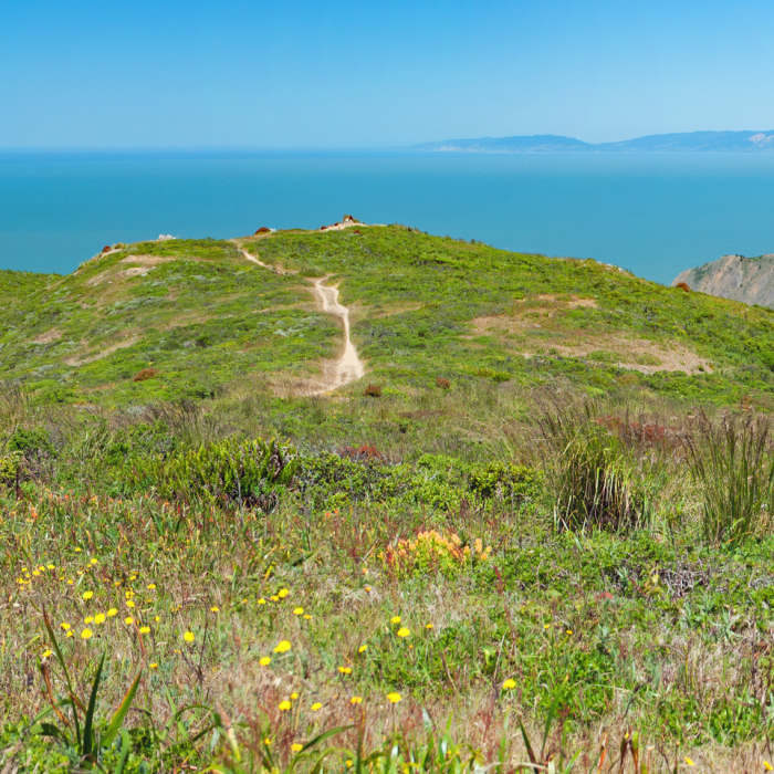 Sun, Flowers and sweeping views from along the ridge of San Pedro Mountain. Near San Pedro Mountain Trail