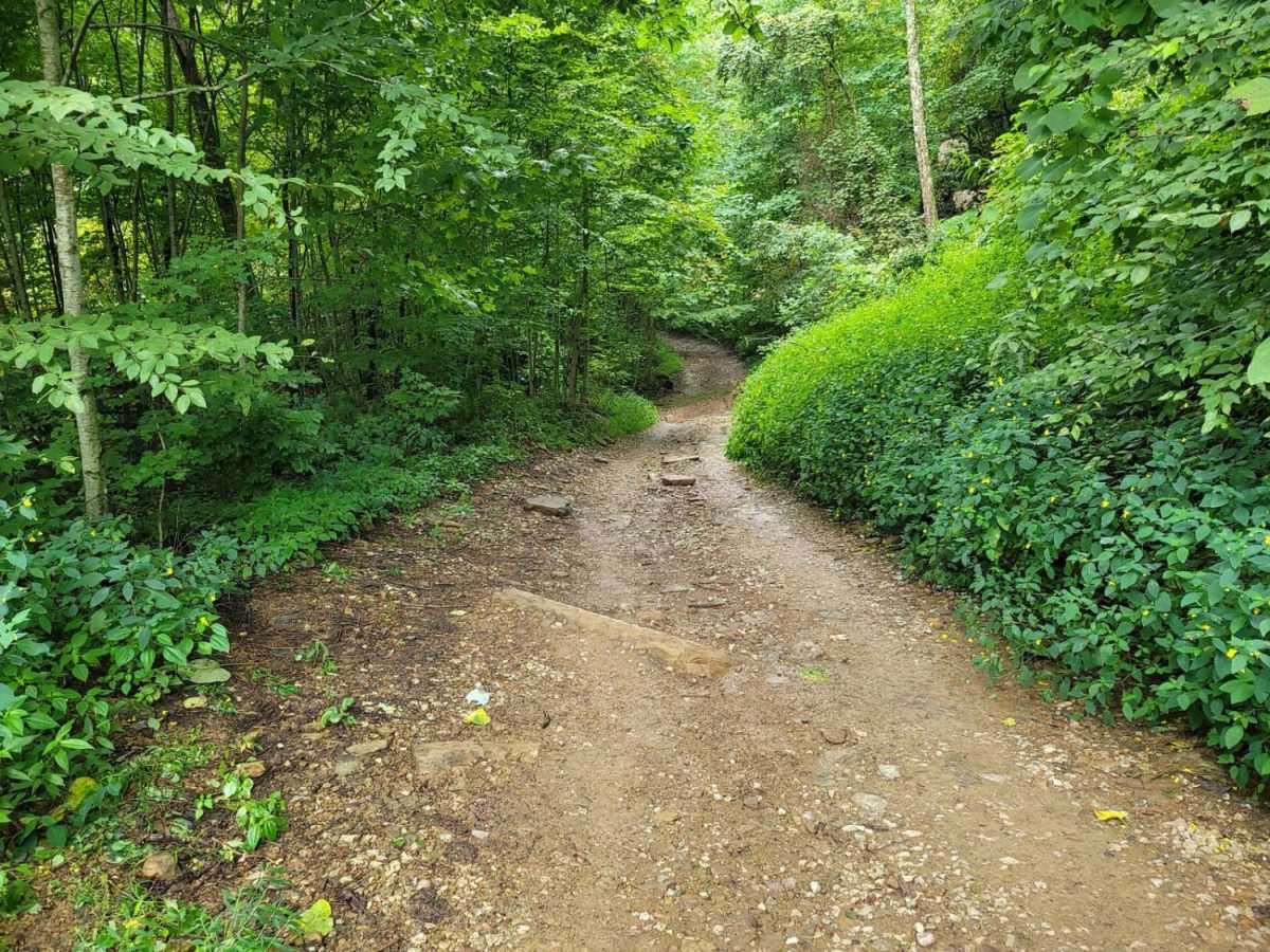 Trail 5 - Flat Gap photo 4