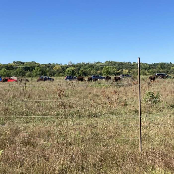 Near Hiking Club Trail