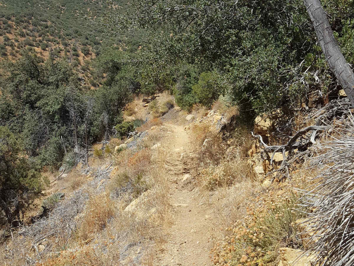 Piru Creek - FS 20W07 photo 6