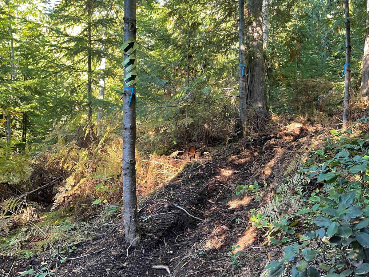 Dream On trail photo