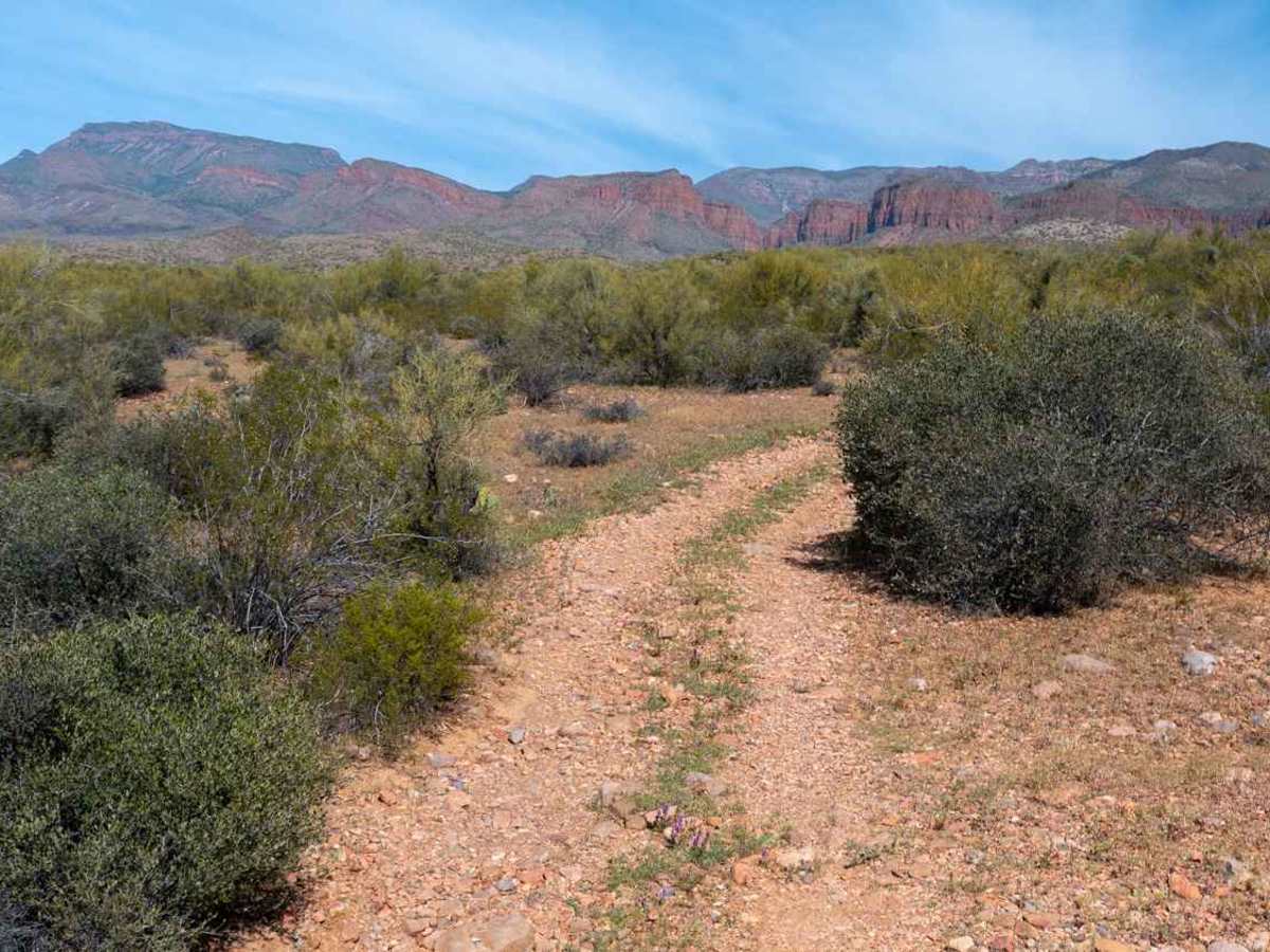 Parker Creek - FS 243/3294 photo 4
