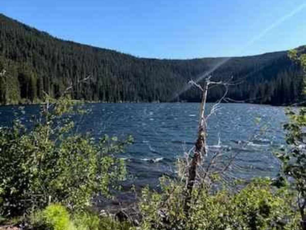 Badger Lake Via Bennett Pass trail photo