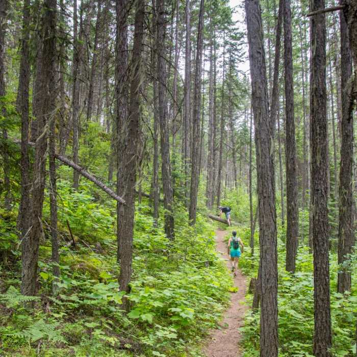 Near Highpoint Trail