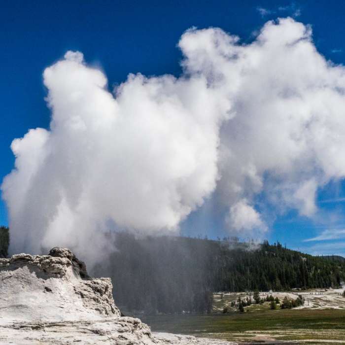 Near Upper Geyser Basin Trail Near Upper Geyser Basin Trail