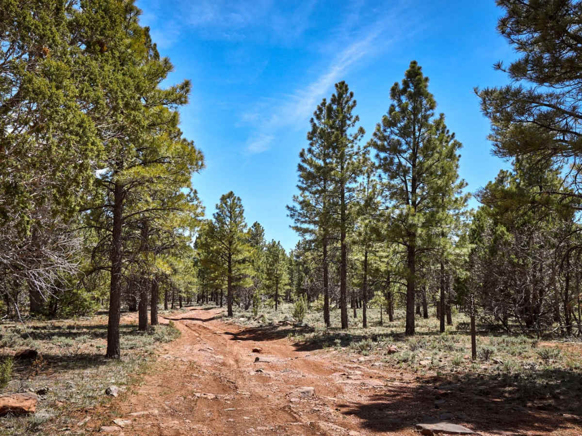 FR 2752 trail photo