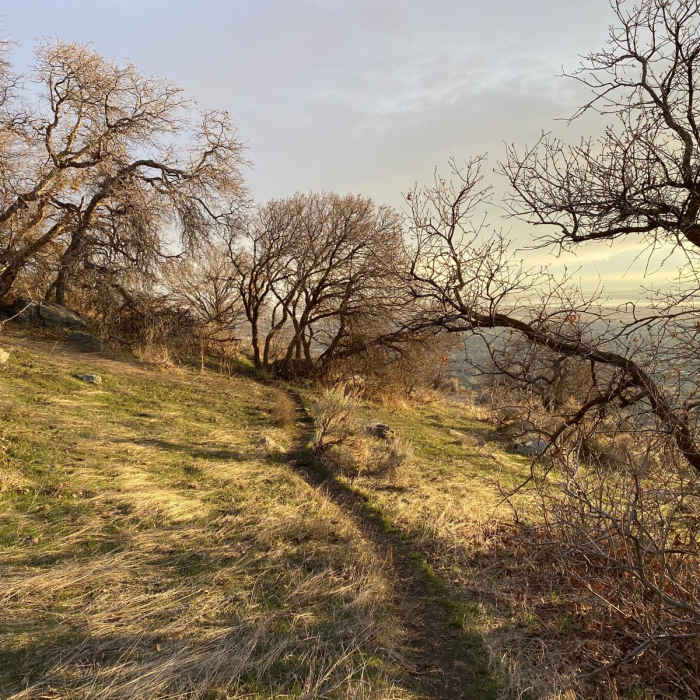Near Bonneville Shoreline Trail