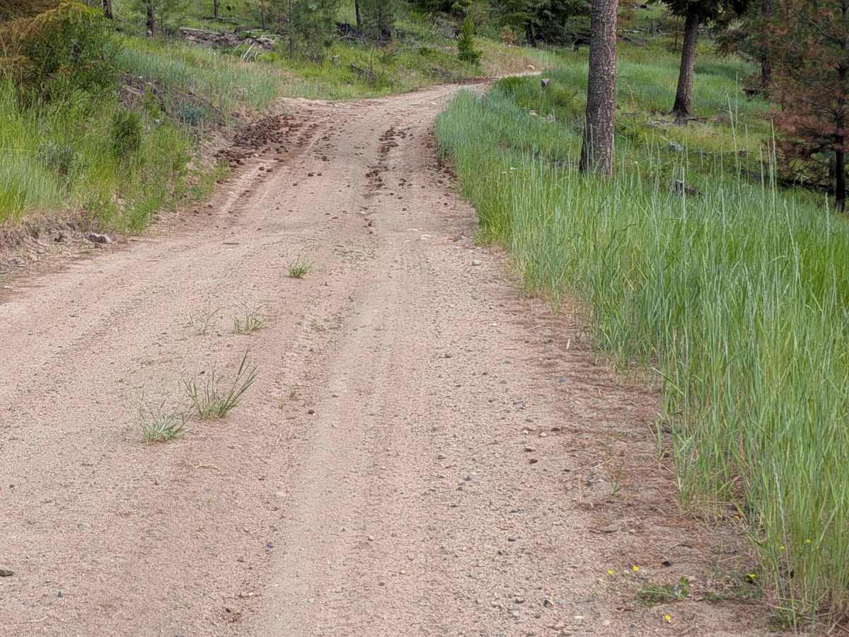 Mineral Hill Road - FS 3700-520 photo 5