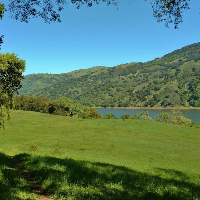 Near Harvey Bear Ranch Hike