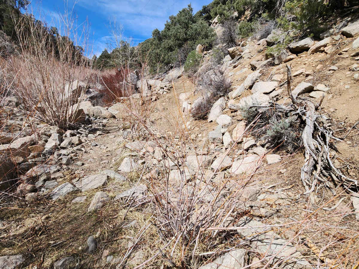 Como Sunrise Crossover Trail photo 4
