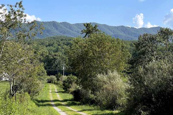 Scenic View Lane