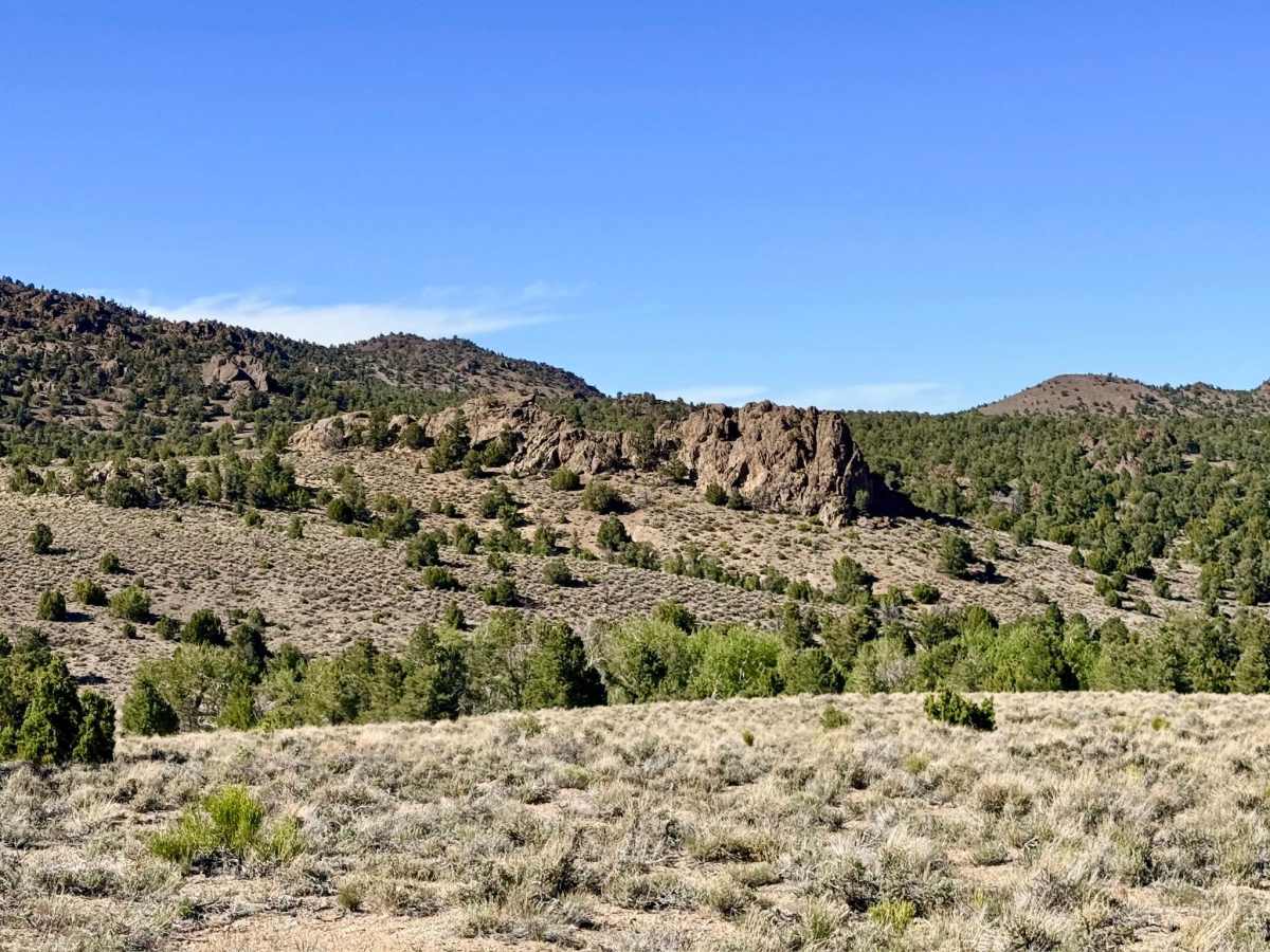 North Wallace - Allison - FS 43004 photo 3