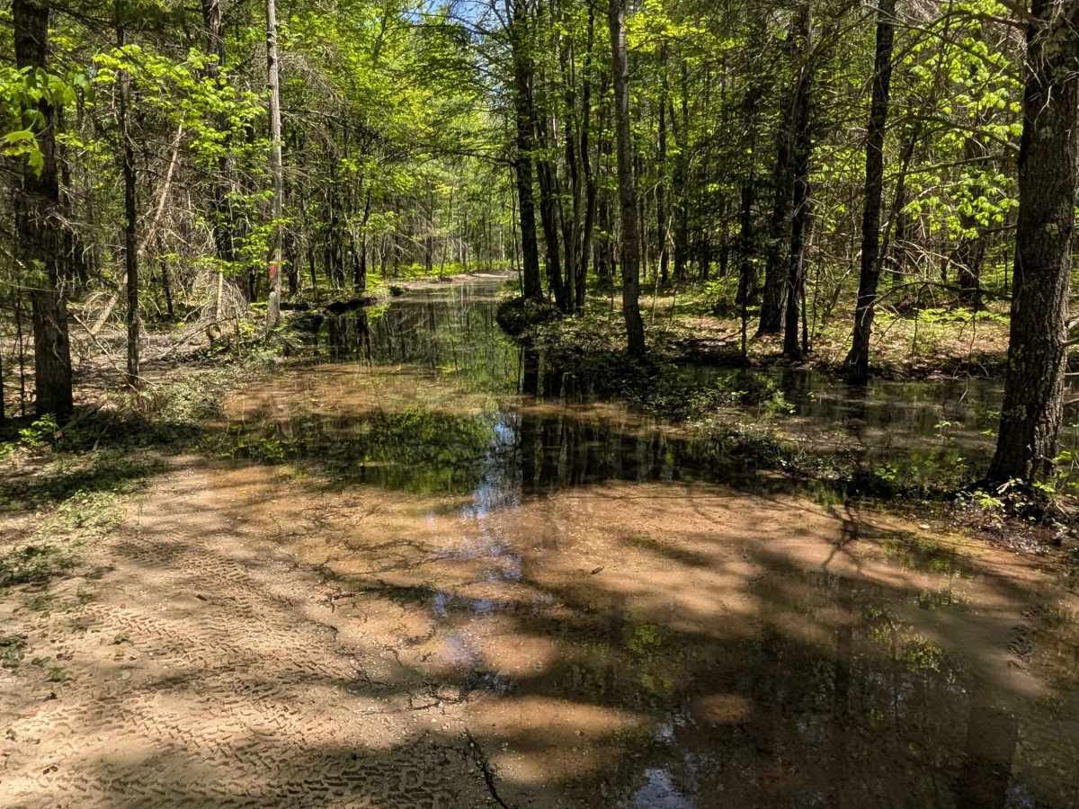 North Missaukee Route (section 5) photo 5