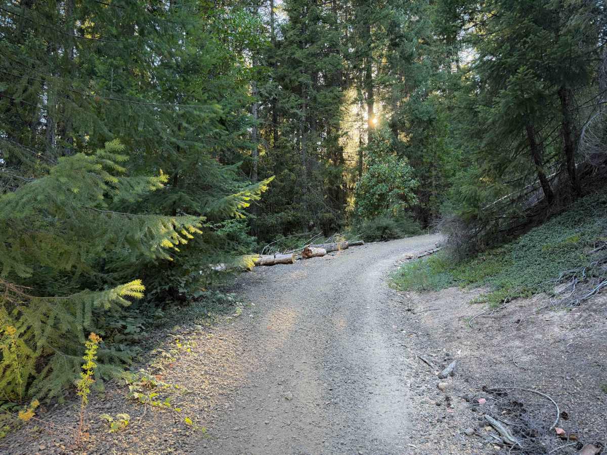 McCall Creek OHV #49  photo 3