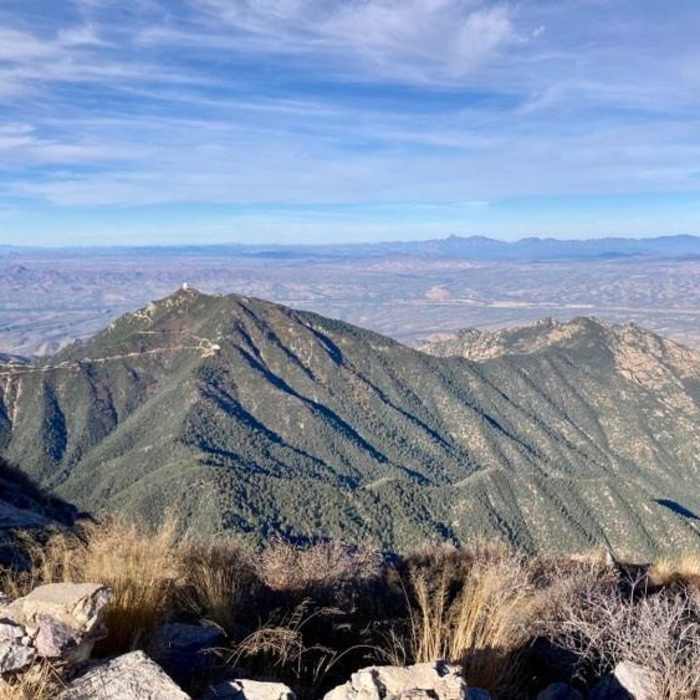 Near Mt. Wrightson via Old Baldy Trail