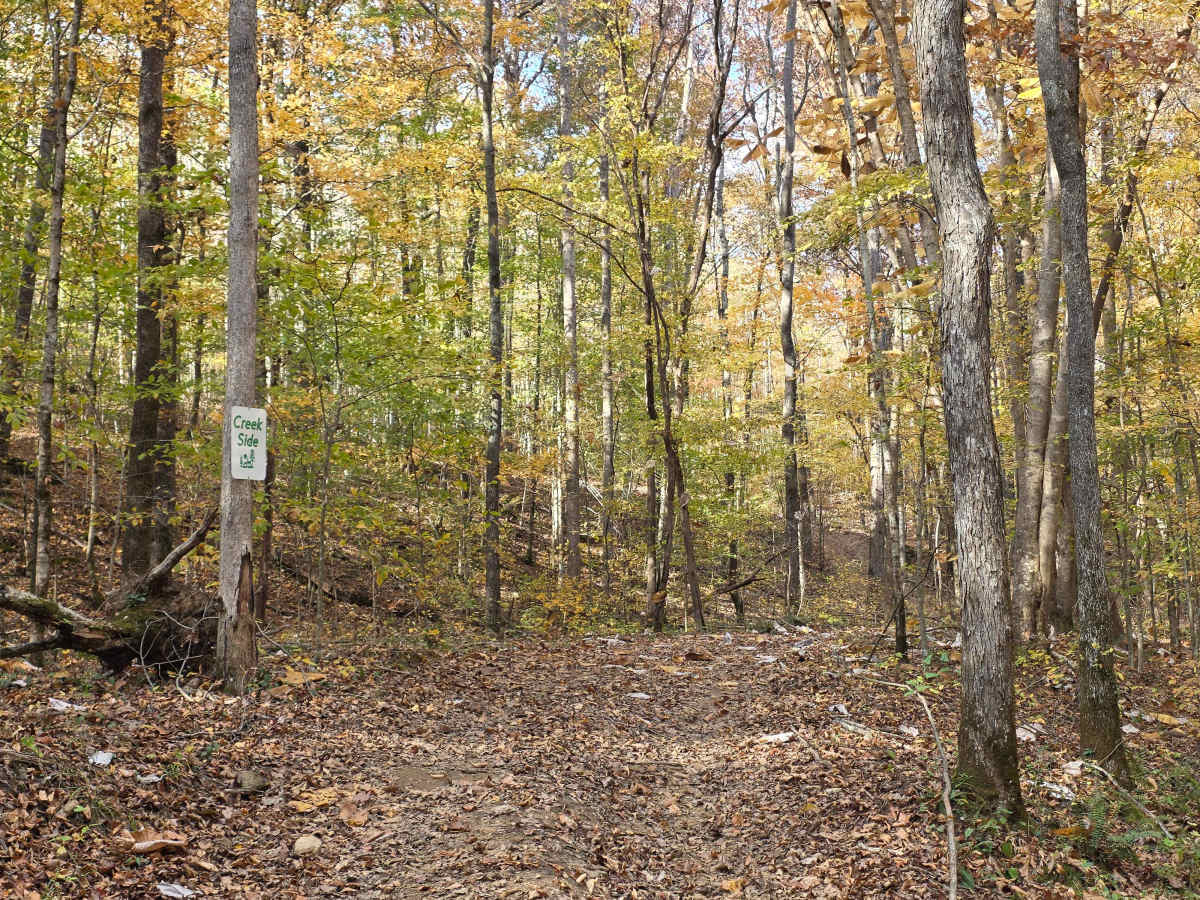 Creekside photo 2
