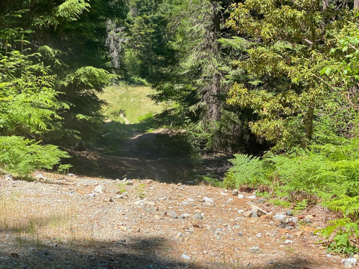 Elderberry Dead End photo 4