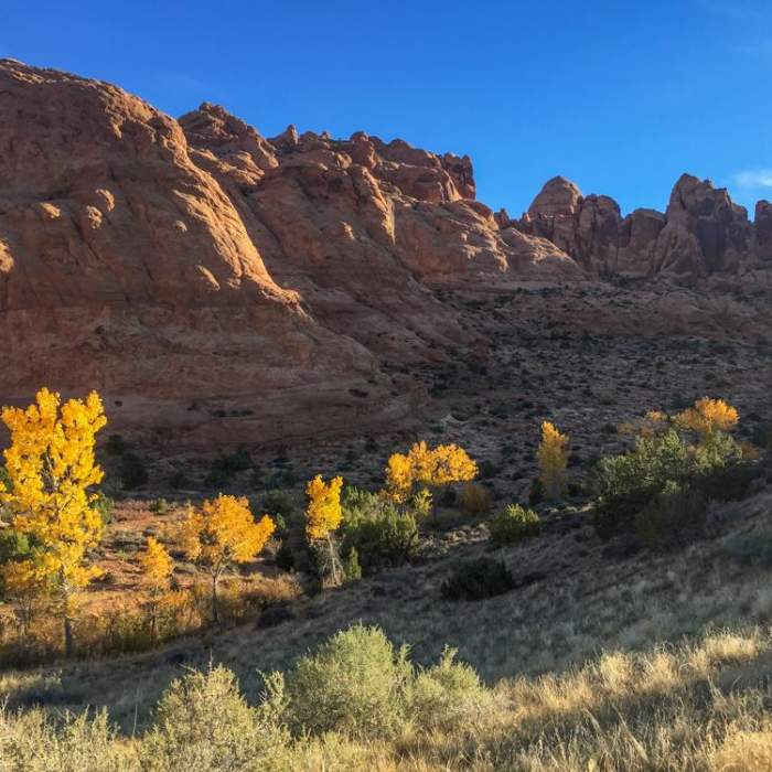 Near Faux Falls Trail Near Faux Falls Trail