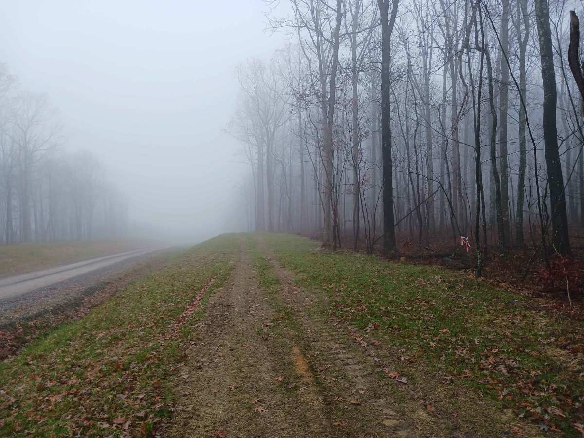 High Oak - Rock Run Recreation Area photo 2