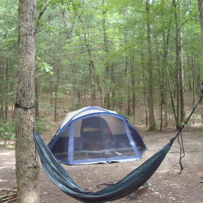 Near Foot Trail