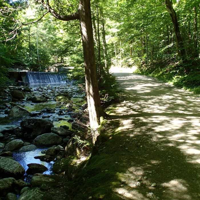 Lake Road Near Nippletop and Dial via Elk Pass