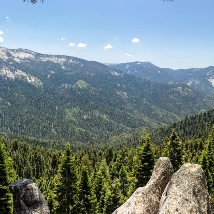 Near Paradise Peak Trail