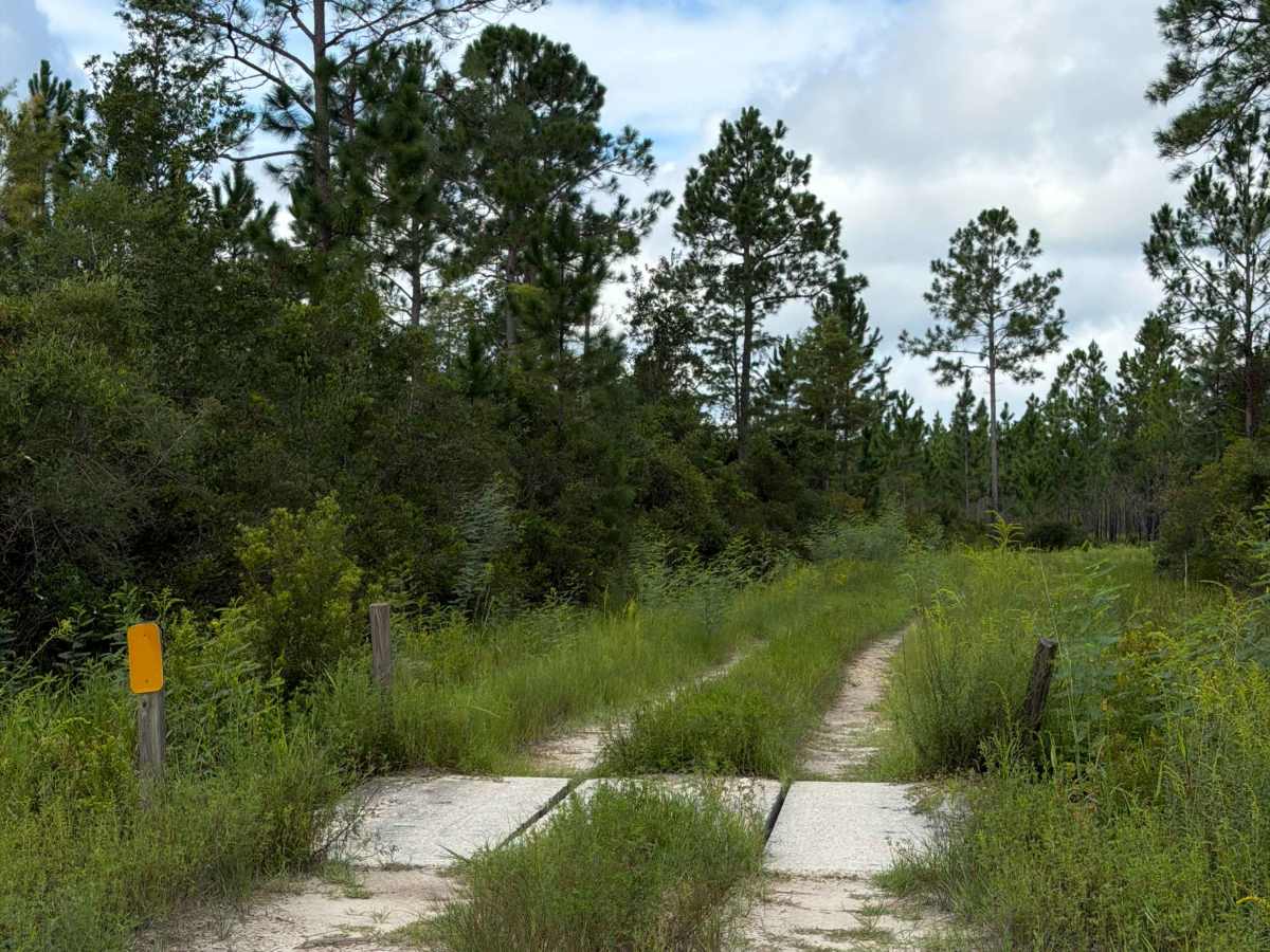 Little Bear Bay - FS 221 trail photo