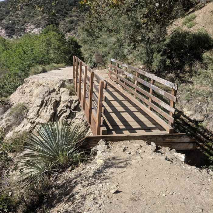 Near Bridge to Nowhere - East Fork Trail #8W13