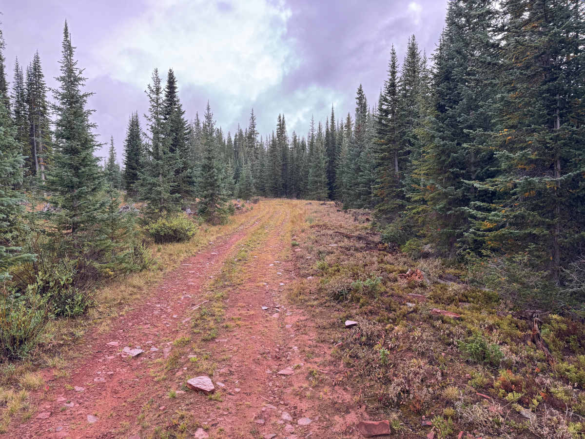 Little Woody Road photo 2