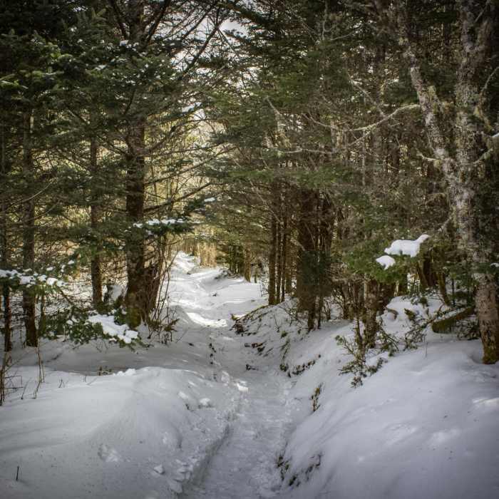 Near The Jump Off via The Appalachian Trail Near The Jump Off via The Appalachian Trail