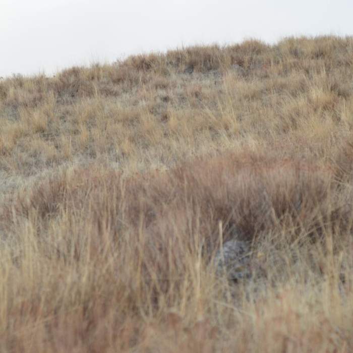 Near East Moraine, Wallowa Lake