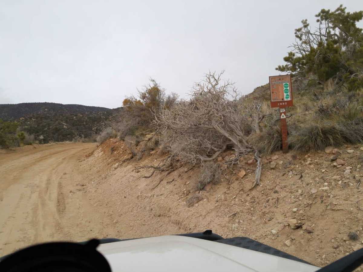 Burns Canyon Road - NF 2N02 photo 4