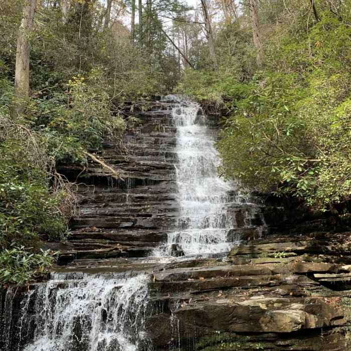 Near Angel Falls Trail #55