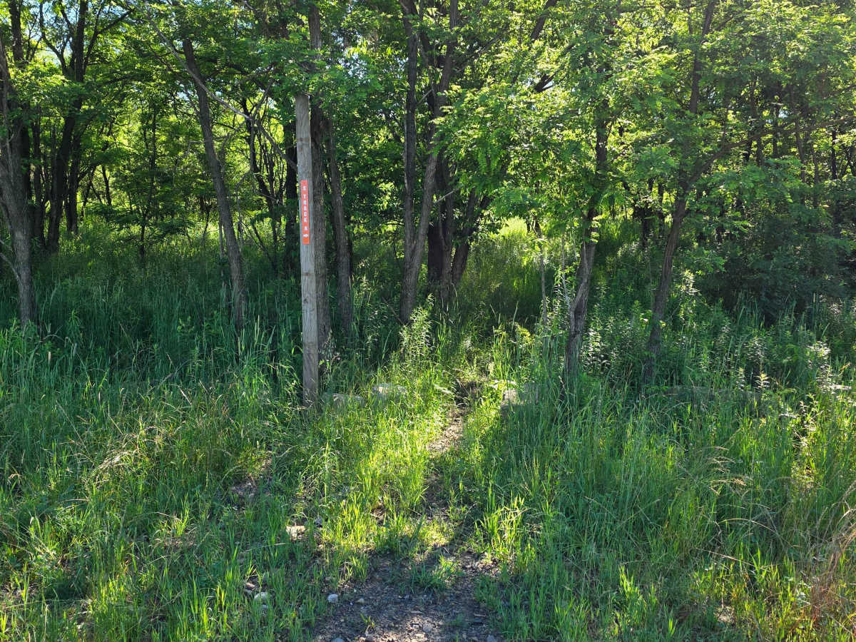 Single Track J2 photo 2