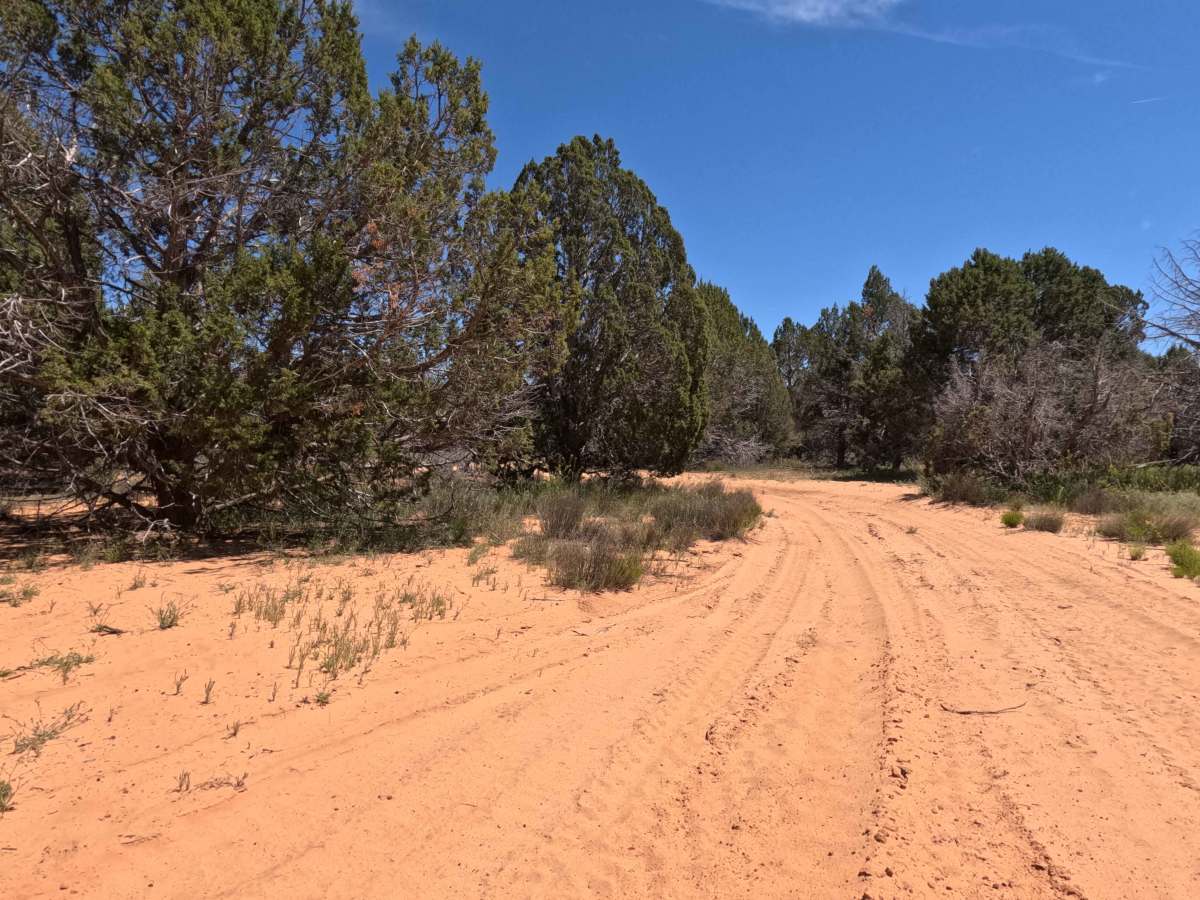 BLM 104B photo 5