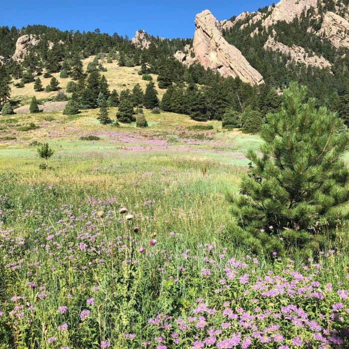 Near Shadow Canyon South