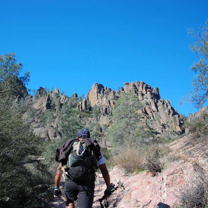 Near Bench Trail
