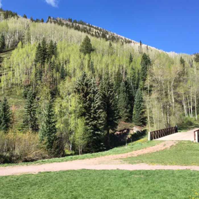 Near Telluride Trail