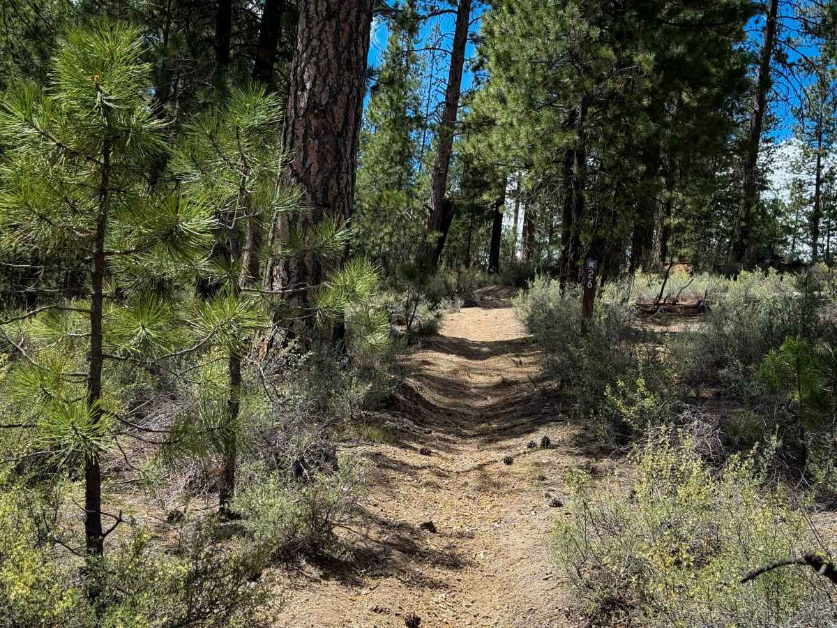 Trail 26  photo 6
