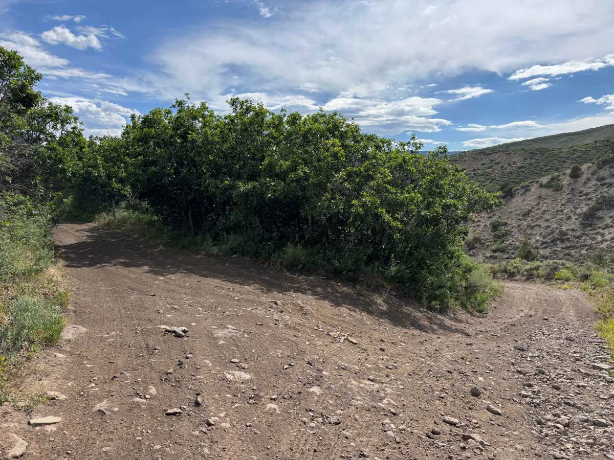 BLM 8452 photo 2