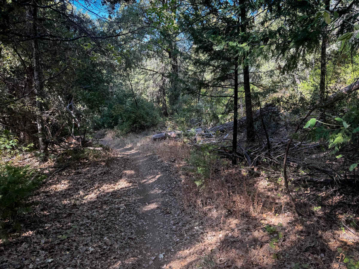 21E201 photo 6
