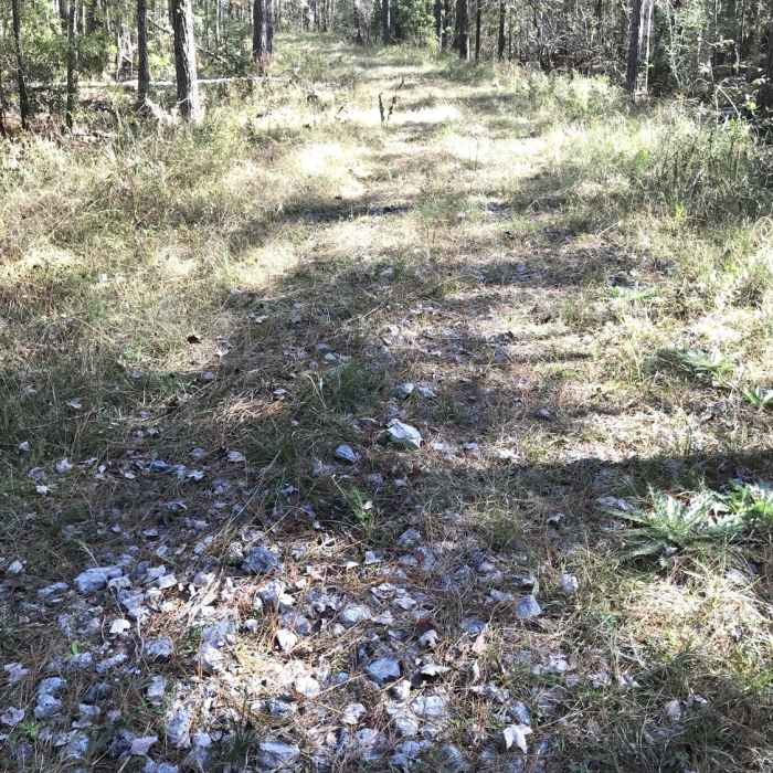 Where the gravel starts to end that can be challenging at the beginning and an easier smoother trail starts. Near Old Loop Trail
