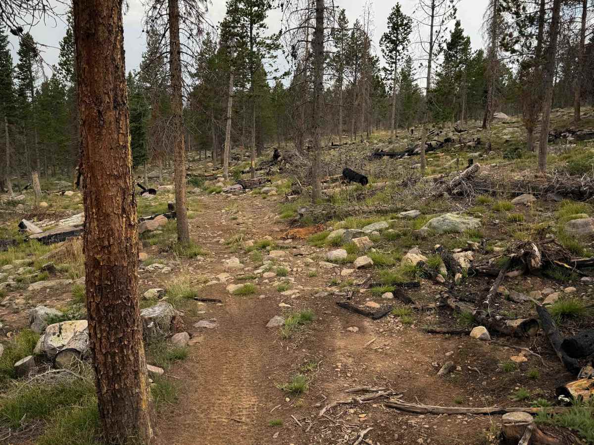 Broadhead Loop - FS 306  photo 3