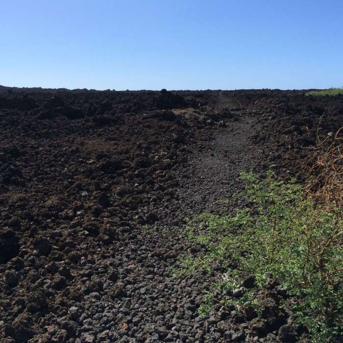 That's about as much vegetation as you'll find on the King's Highway! Near King's Highway AKA Hoapili Trail
