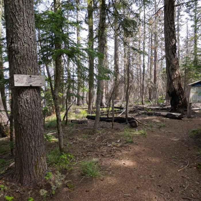 Near Vista Ridge Trail Hike