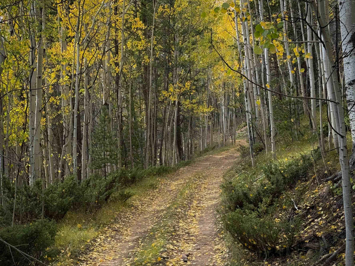 Wuanita Pass Trail - FS 640  trail photo