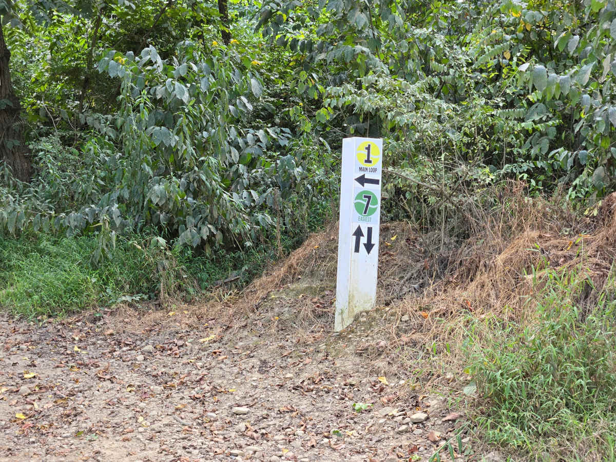 Trail 1 photo 3