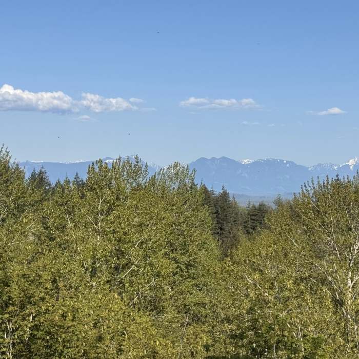 Near Pipeline Trail