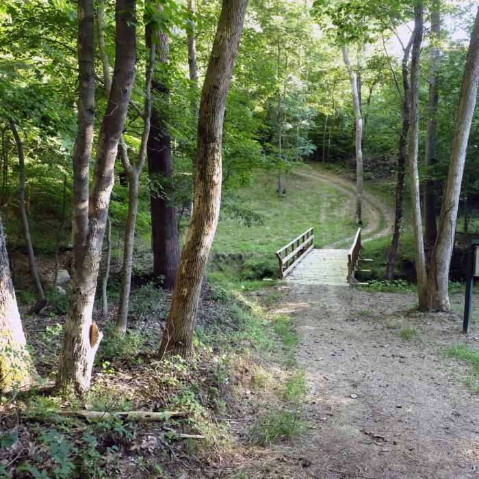 Bridge at Mountain Island Park Trail Near Mountain Island Park Trail